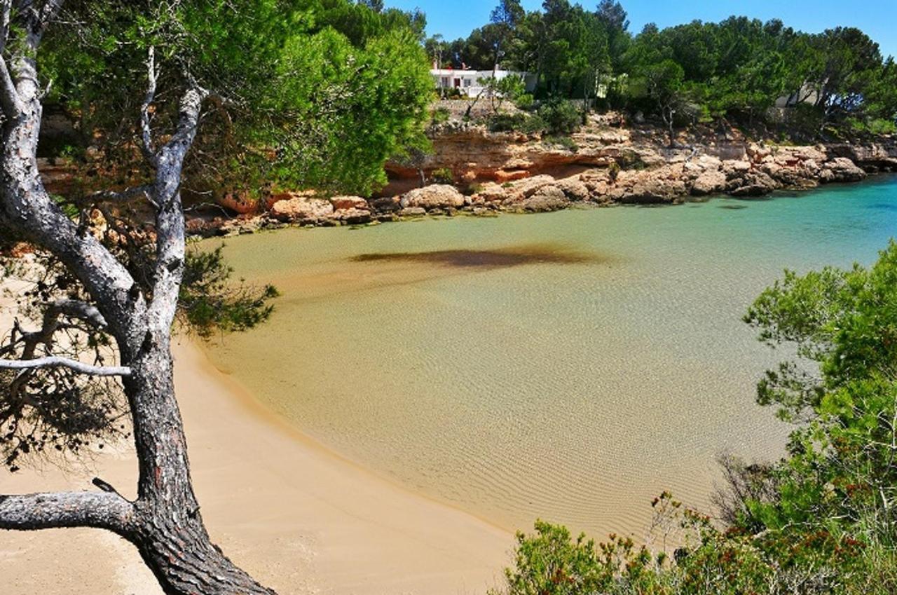 Villa Dorada L'Ametlla de Mar Dış mekan fotoğraf